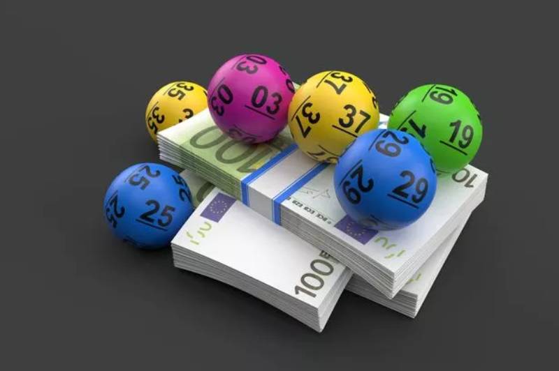 Lo Cam La Gi Cach Nhan Biet Lo Cam Chuan Xac Nhat