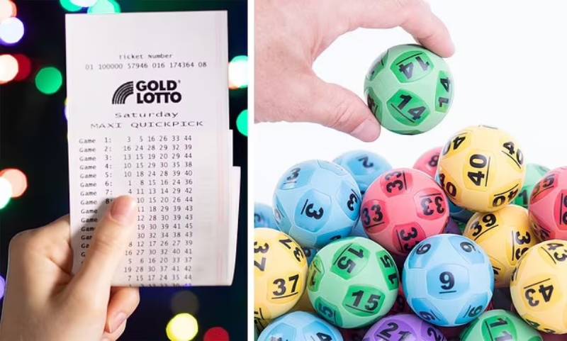 Lựa chọn số theo ngày dương